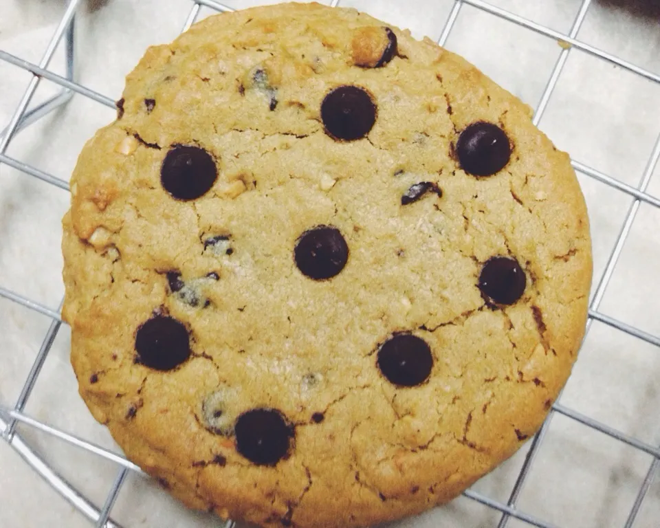 Peanut butter chocolate chip cookies|BO ZOさん