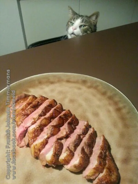 Duckbreast
(and Lucas hoping to get some of it)|Frank&Jolanda - Eteninbeeldさん