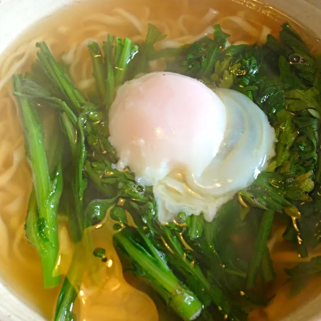 まるちゃん製麺うどん、温玉と春菊|たけのこジョニーさん