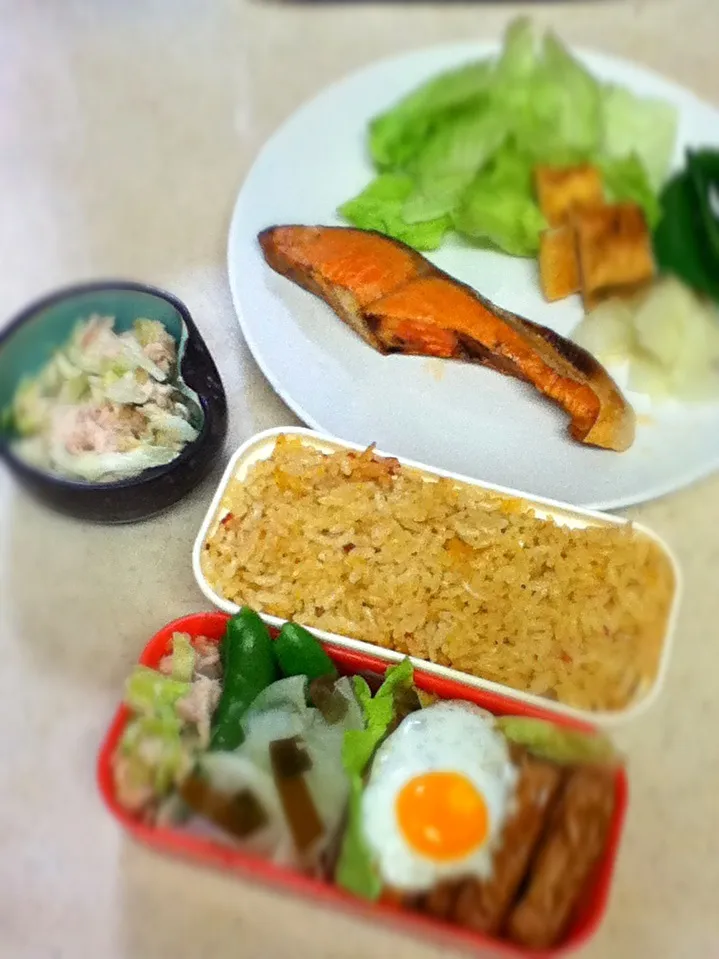 Snapdishの料理写真:Today'slunch box. 娘の塾は予定通り模試やるというので、6時半起きで弁当と朝食作り。昨日も保護者会で寝坊できなかったから身体がツライ… 週末の寝だめ大事なのタワシ。|hoppycowさん