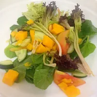 Salad de arti|Raziel Aira B. Santosさん