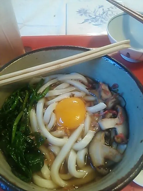 椎茸、桜えびだしのほうれん草うどん|Hiroko  Matsumotoさん