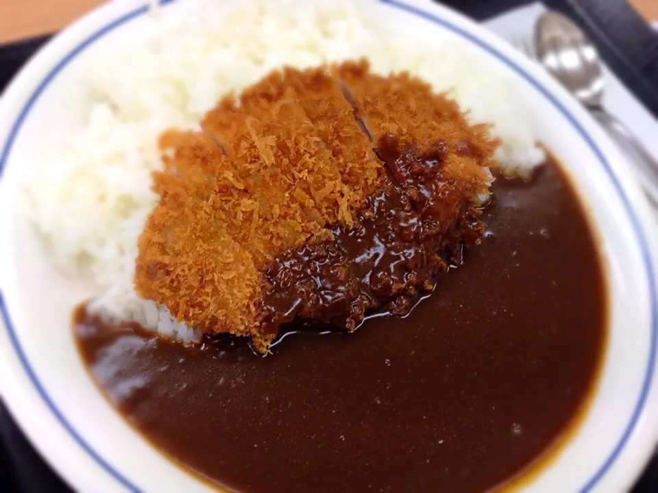 Snapdishの料理写真:かつやカツカレー（梅）|Akira Nishihiraさん