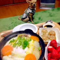 Snapdishの料理写真:白菜と牛肉鍋ウドン入、551のシュウマイ、イチゴ。…と寝起きでぼんやりヒーター前のワンコ|ぶんはさん