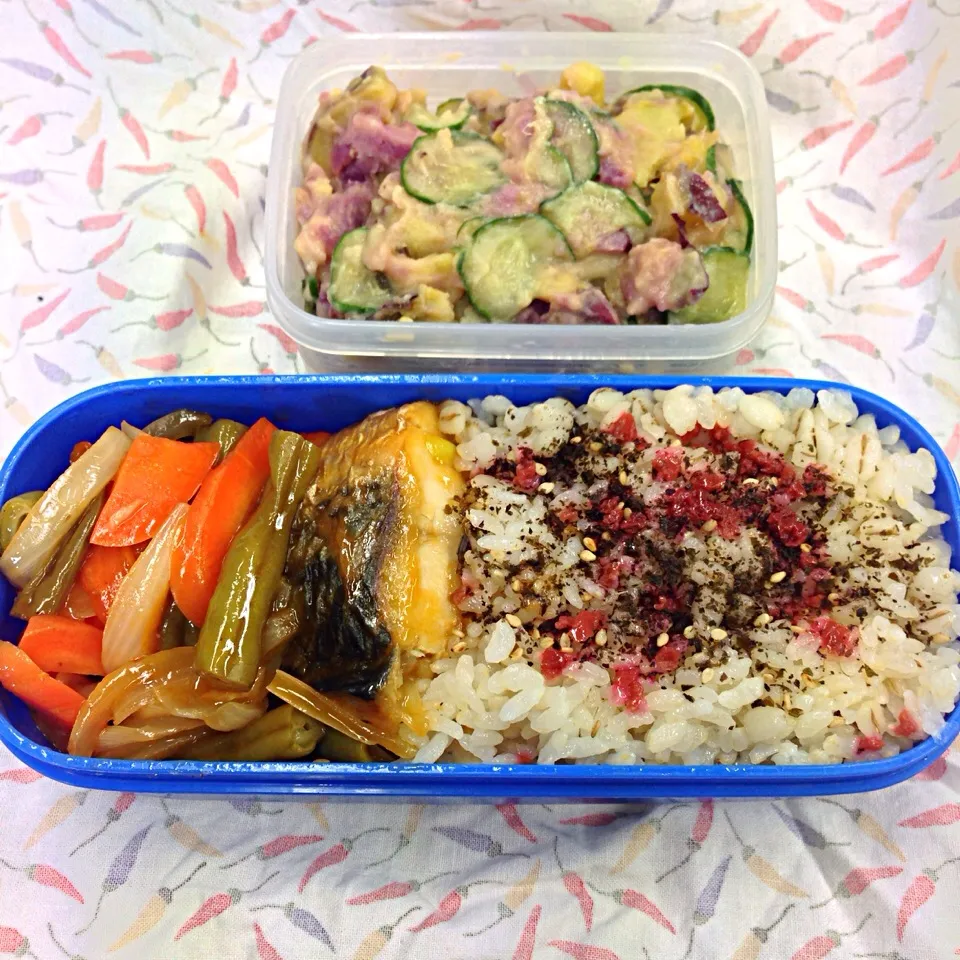 鯖の野菜餡掛け弁当|Yoko Hayashiさん