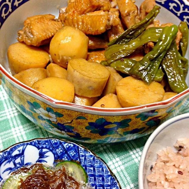 手作り料理の毎日　クド　sp psa9 手作り料理の毎日 クド sp psa9 3 Days of Healthy Japanese