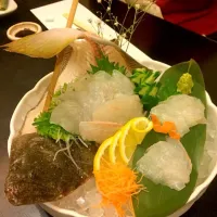 Japanese "Sashimi" live fish!|Iku Sさん