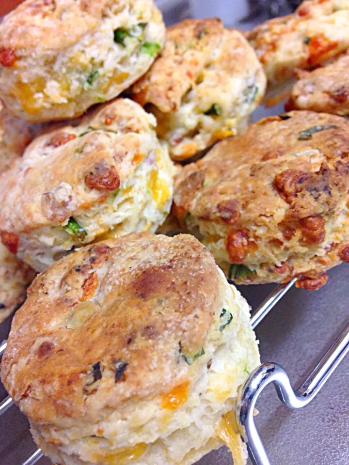 Quick Bacon-Cheddar Biscuits|Yuko Sasakiさん