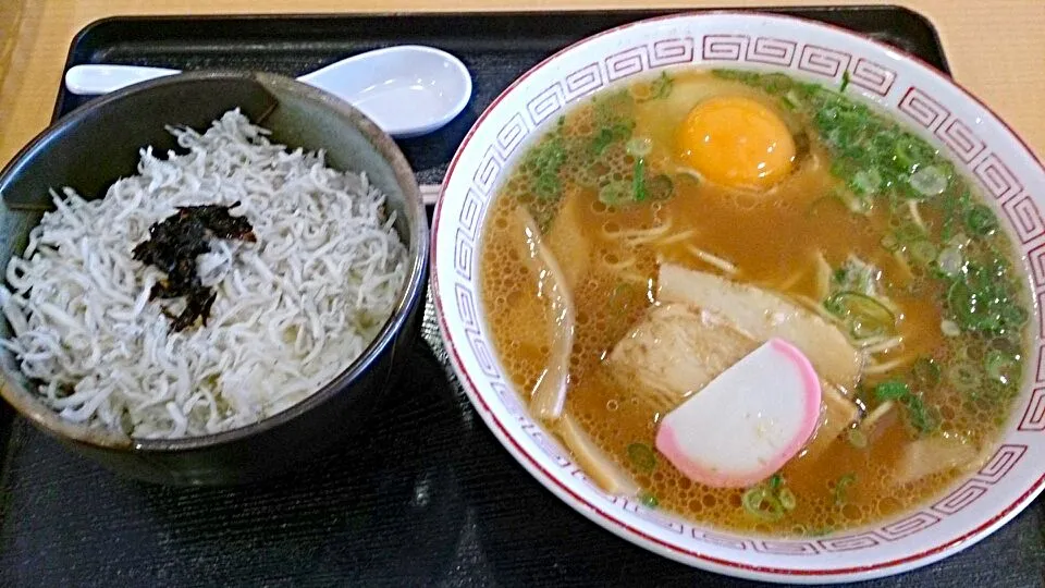 和歌山ラーメン&ミニしらす丼|THE SUNSEAさん