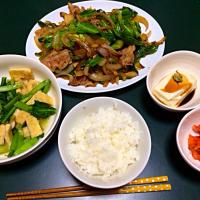 小松菜とアゲの炒め煮とキャベツと豚肉の中華炒め