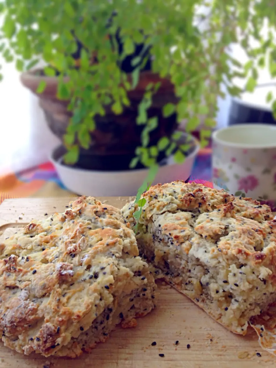 Sesame quick bread|Kaori Kanekoさん