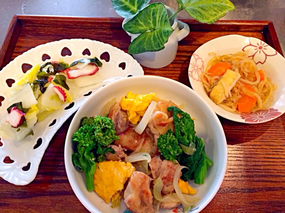 鶏肉と菜の花の春色炒め🌸たこの酢の物🌸切り干し大根と春雨の煮物🌸|Iggywiggyさん