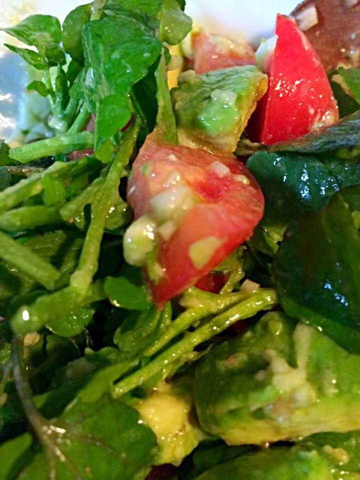 Avocado cresson tomato salad|Egyegyさん