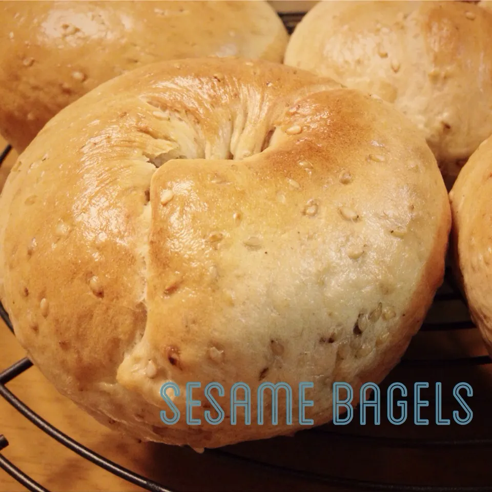 Baked bagels :)|mさん