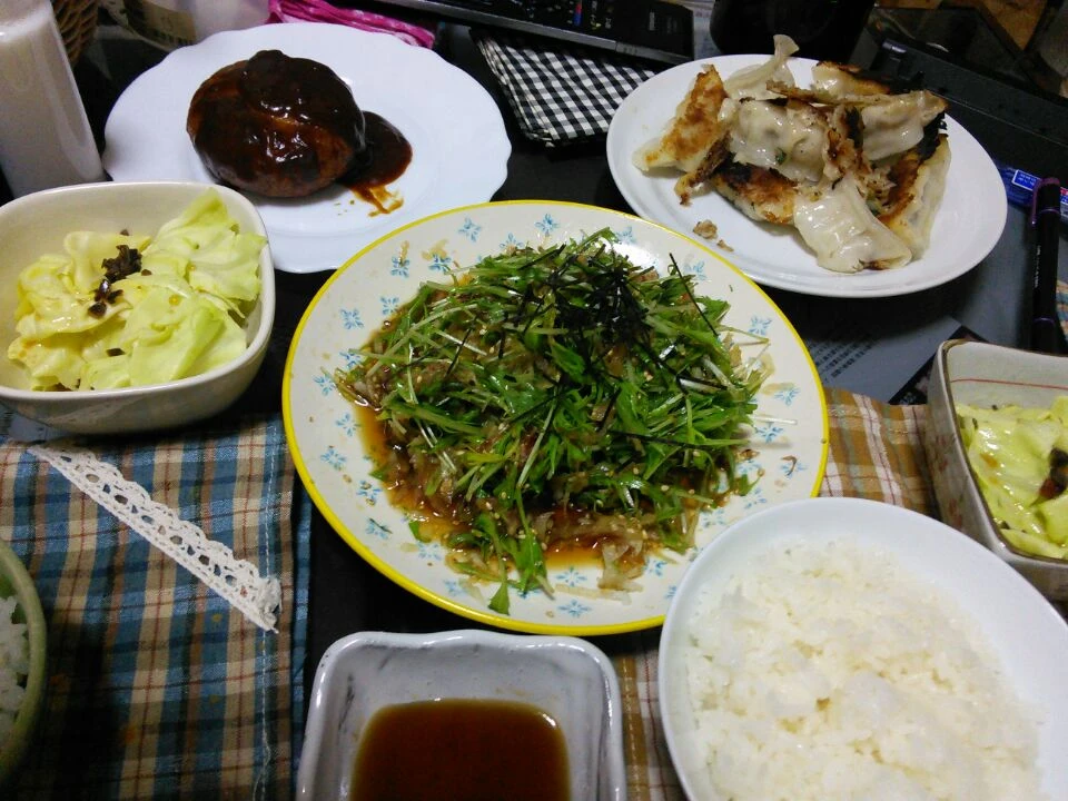 冷凍庫のものいろいろとサラダ|いもこさん