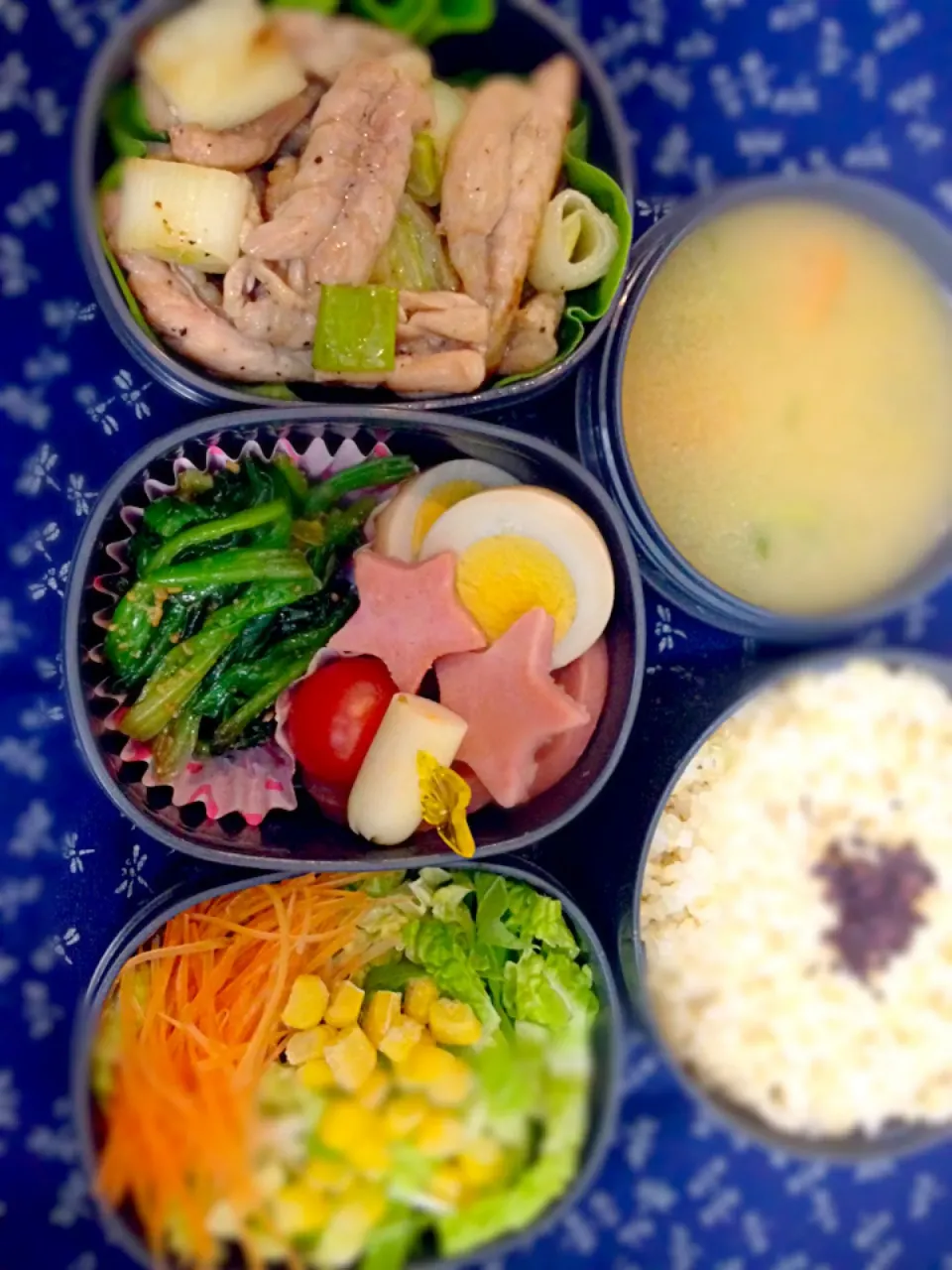 Snapdishの料理写真:2014.2.14 お弁当|sakurakoさん