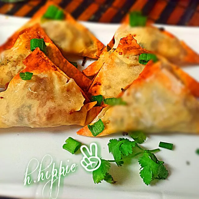 veggie ground wontons|cory harrisさん