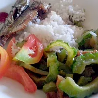 Snapdishの料理写真:lunch: fried fish and sauteed ampalaya with tomato side dish...|Aileen Segovia Lacoさん