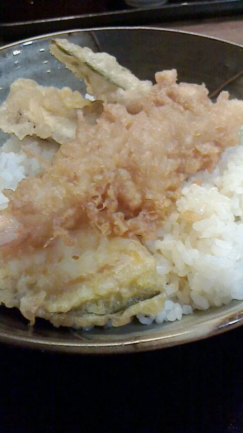 天丼。|hisashiさん