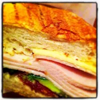 Snapdishの料理写真:Turkey ham with camembert cheese and cranberry jelly on toasted panini bread|maria katrina valenciaさん