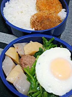 Snapdishの料理写真:お弁当（ご飯、ミニメンチカツ、肉団子の肉じゃが、ほうれん草のナムル、目玉焼き）|すーさん