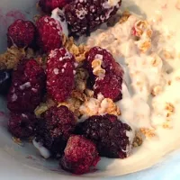 Plain Organic Yogurt (low fat) with Honey Oats and Berries|Saranya Parsonsさん