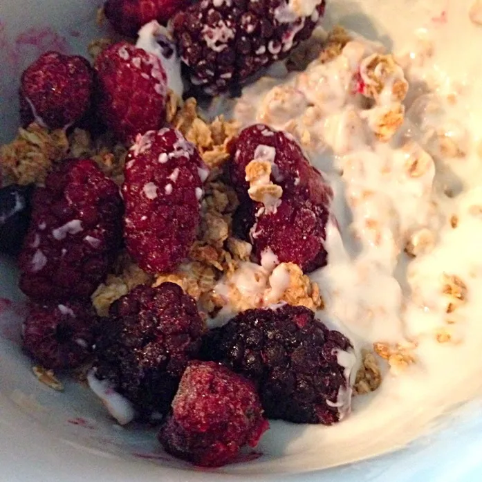 Plain Organic Yogurt (low fat) with Honey Oats and Berries|Saranya Parsonsさん