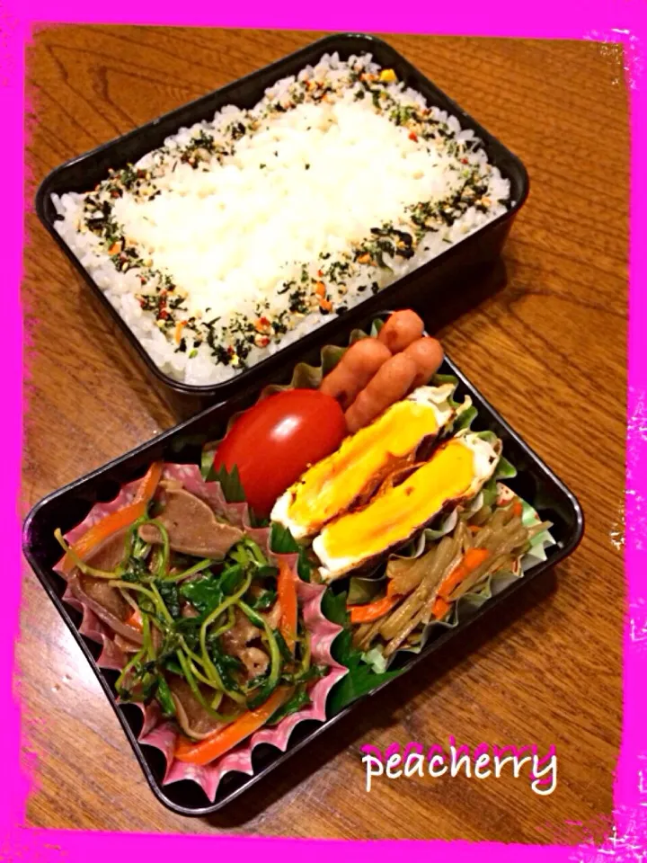 旦那様用☆お弁当^_^夜勤4日目|☆ぴ〜ちゃん☆さん