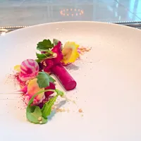 Beets mousse cannelloni with goatcheese mouse and beets salad|andy liaoさん