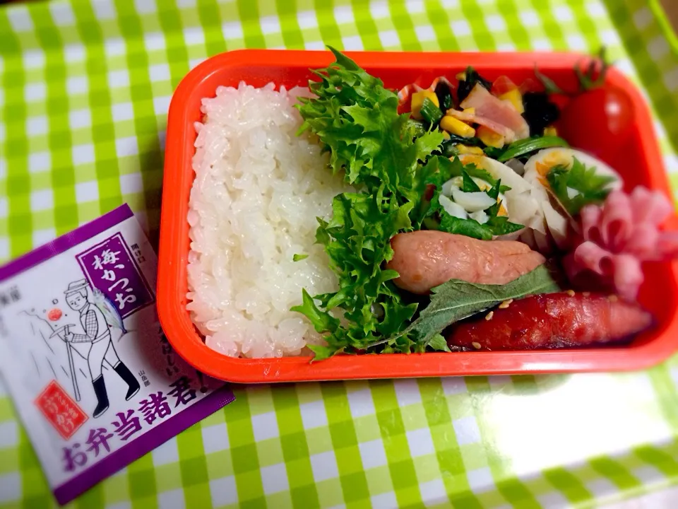 Snapdishの料理写真:JK楓のお弁当2/20のはずが。。。|よこたんさん