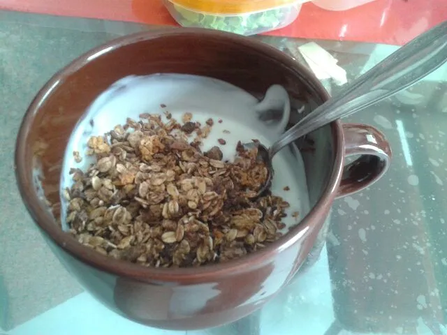 19/02/2014 - lanche da tarde

iogurte + granola light de soja, cacau e linhaça|Gabriela Baptistaさん