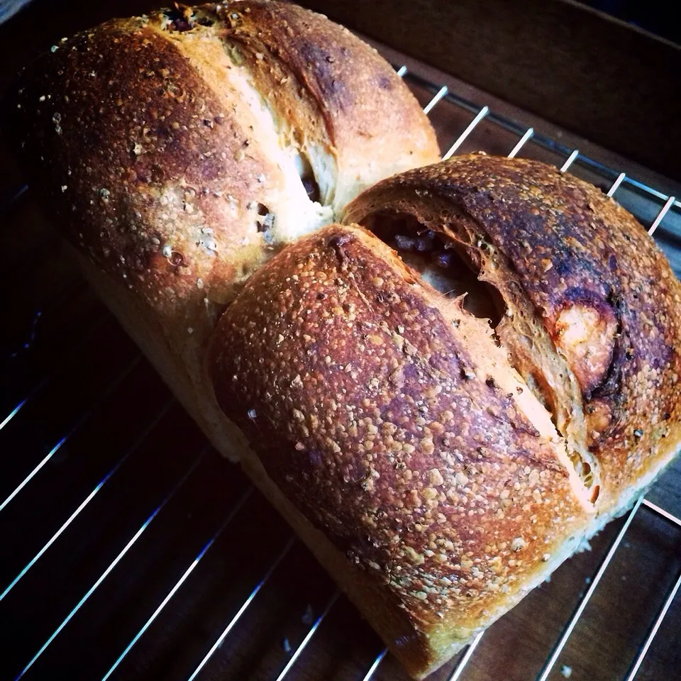 Plain bread of pecan nuts and walnuts and raisins レーズンとクルミとピーカンナッツの食パン|AYANOさん