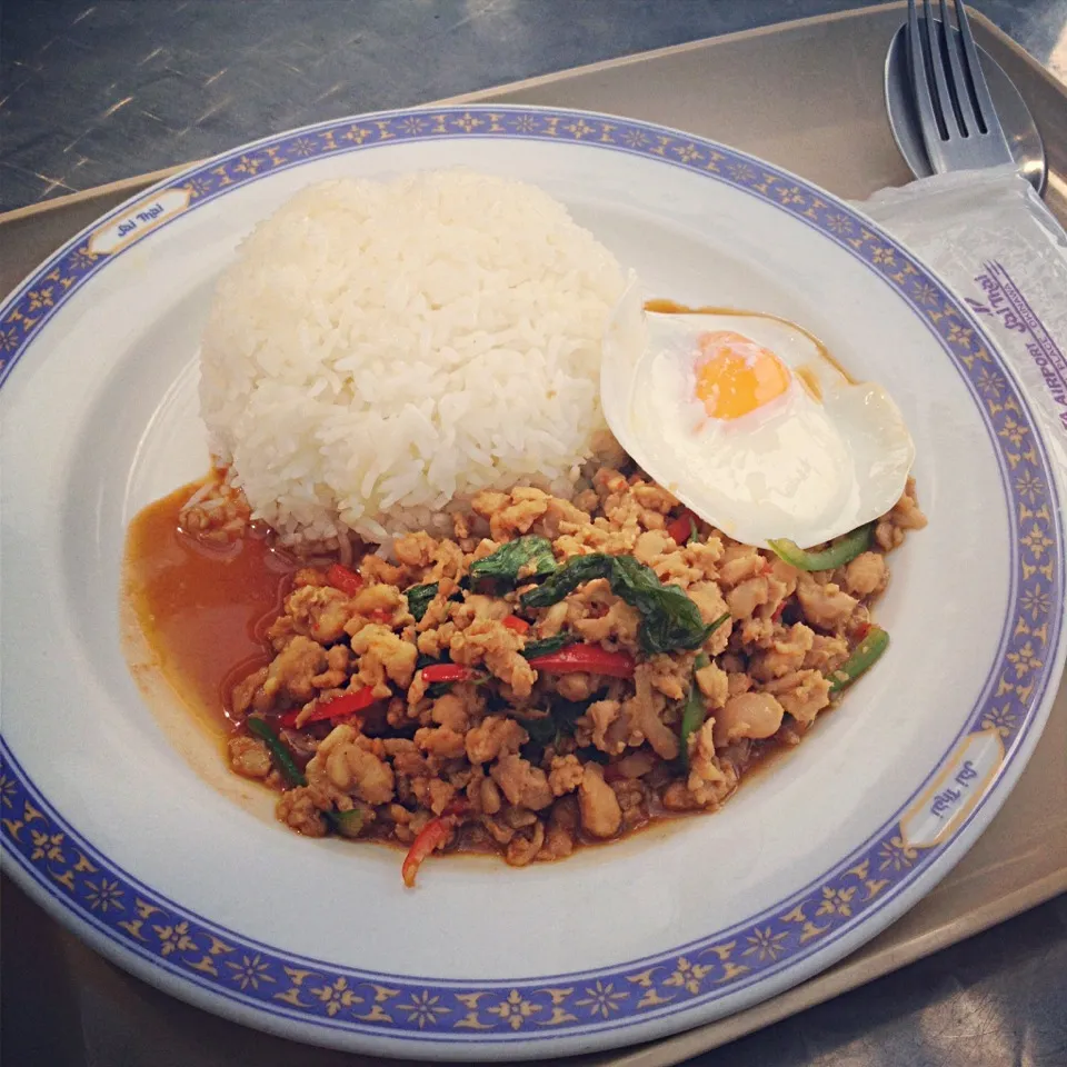 ข้าวกะเพราไก่ (basil chicken rice)|maixx ใหม่さん