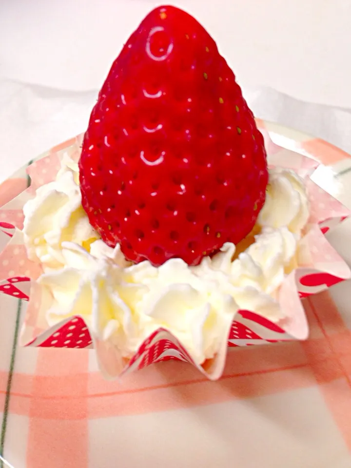 Snapdishの料理写真:Chocolate Cream Strawberry|Deana/Akinaさん