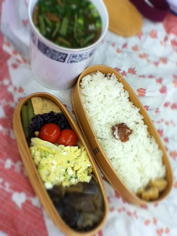 Today's lunch box. JKは半ドンで弁当なっしーw 都立入試の準備だそうです。|hoppycowさん