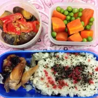 Snapdishの料理写真:本日のお弁当|Yoko Hayashiさん