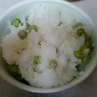 Snapdishの料理写真:|はくさん