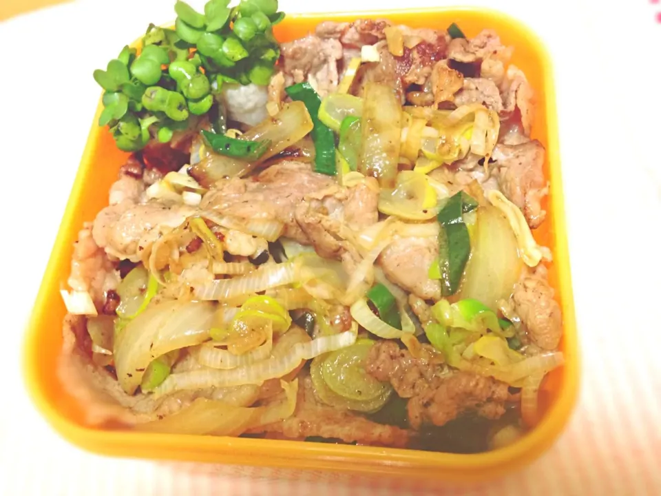 2月22日 食べる時間のない土曜は1品弁当！豚丼！|ふぁんたんさん