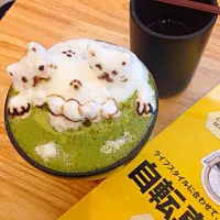 Snapdishの料理写真:Matcha latte|SaSalak Tee.さん