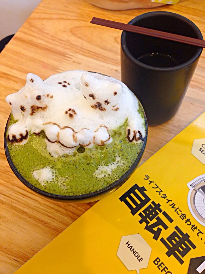 Snapdishの料理写真:Matcha latte|SaSalak Tee.さん