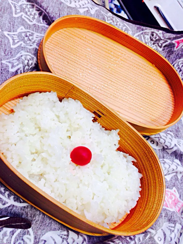 Snapdishの料理写真:曲げわっぱ日の丸弁当|Souha Nakaさん