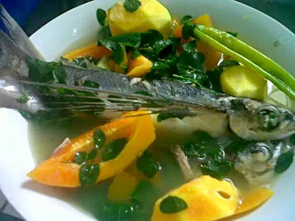 Philippine Food: Fish Tinola or Flying Fish Soup With Papaya|Dan Alfred Garcia Madriagaさん