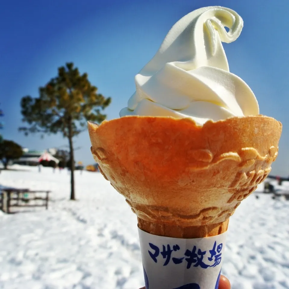 ソフトクリーム at マザー牧場|tayukoさん