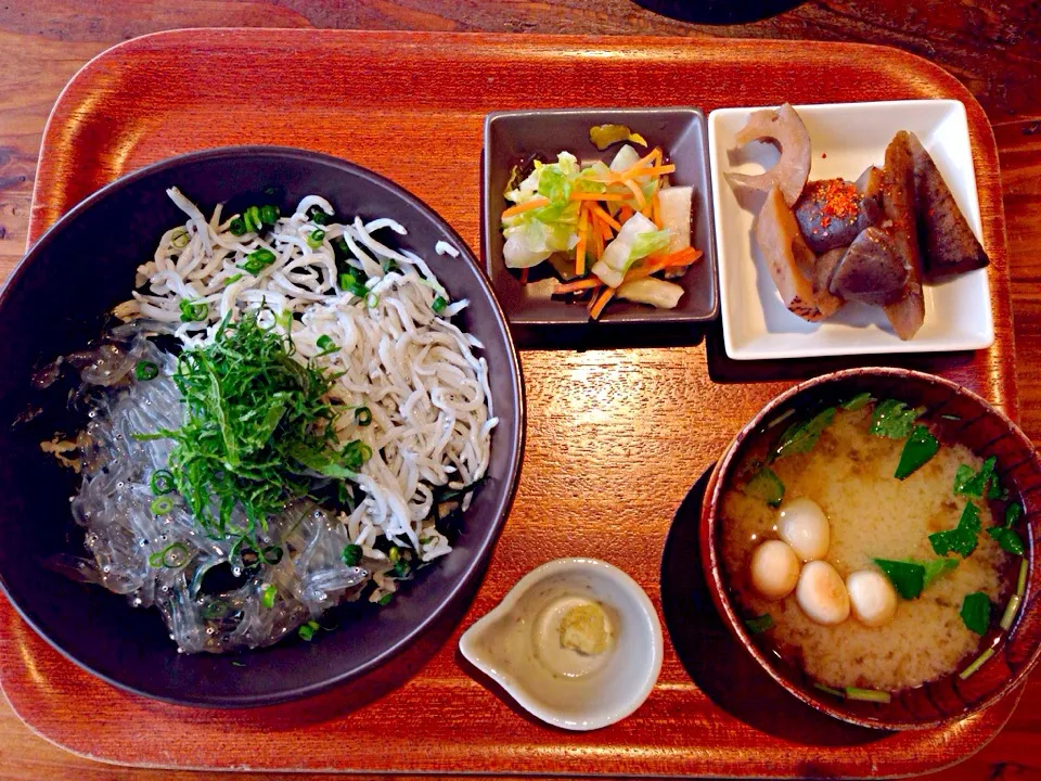 Snapdishの料理写真:しらすの二色丼|ひよこさん