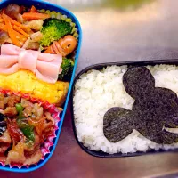 Snapdishの料理写真:お弁当|のんさん