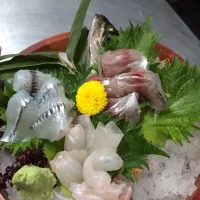 Snapdishの料理写真:朝どれ地魚|Katayama Katsuhitoさん