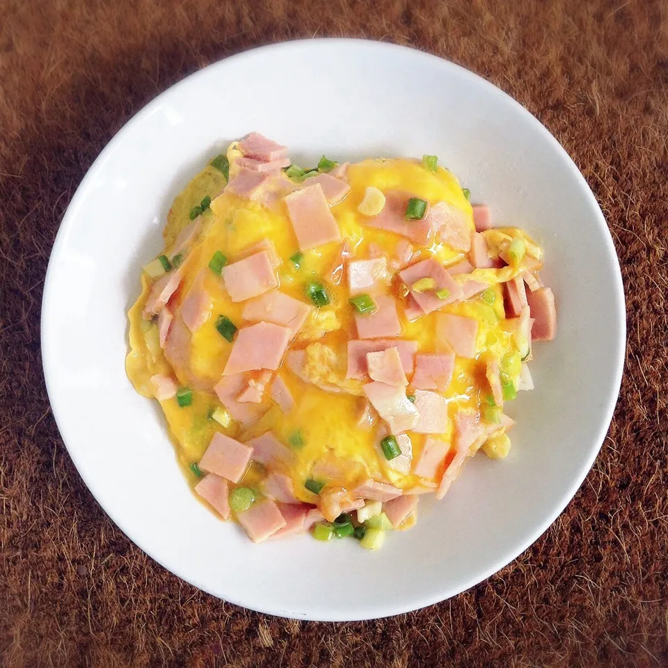 HaM OMelettE on riCE|Rojd Hikaruさん