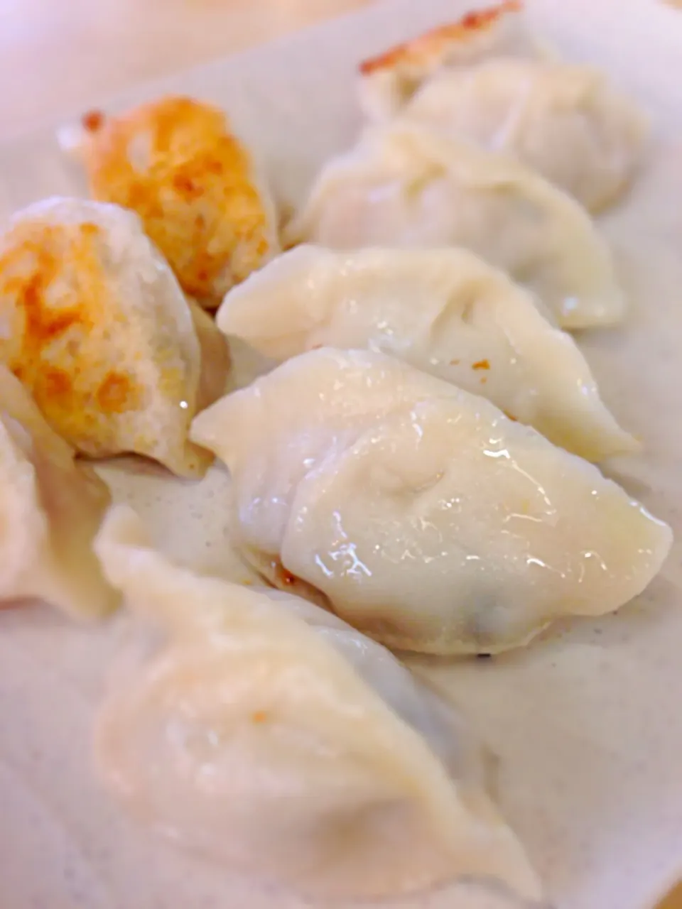 灌汤锅贴(pot stickers)@Redhill Food Centre|coxiella24さん