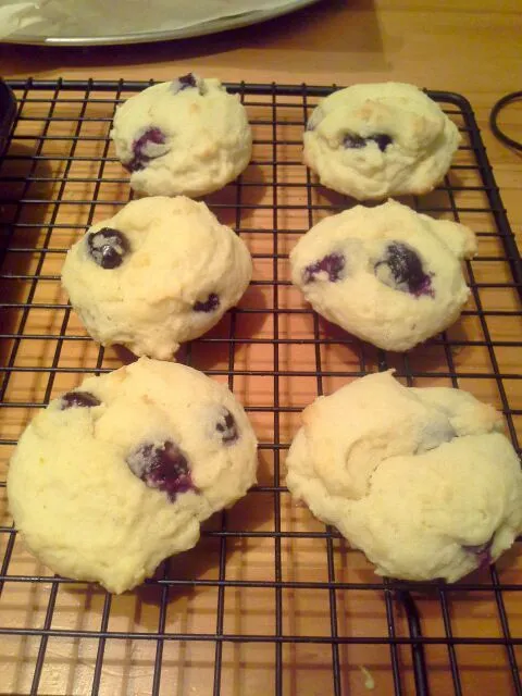 Blueberry cookies with yogurt and Myer lemon|Fe's kitchenさん