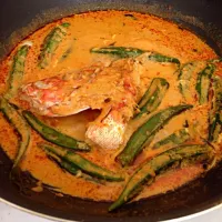 Red Snapper curry|noorabitaさん